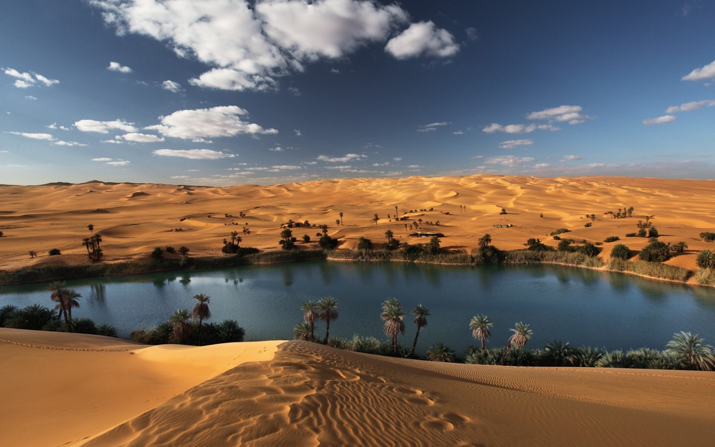 Оазис в пустыне Ливии
