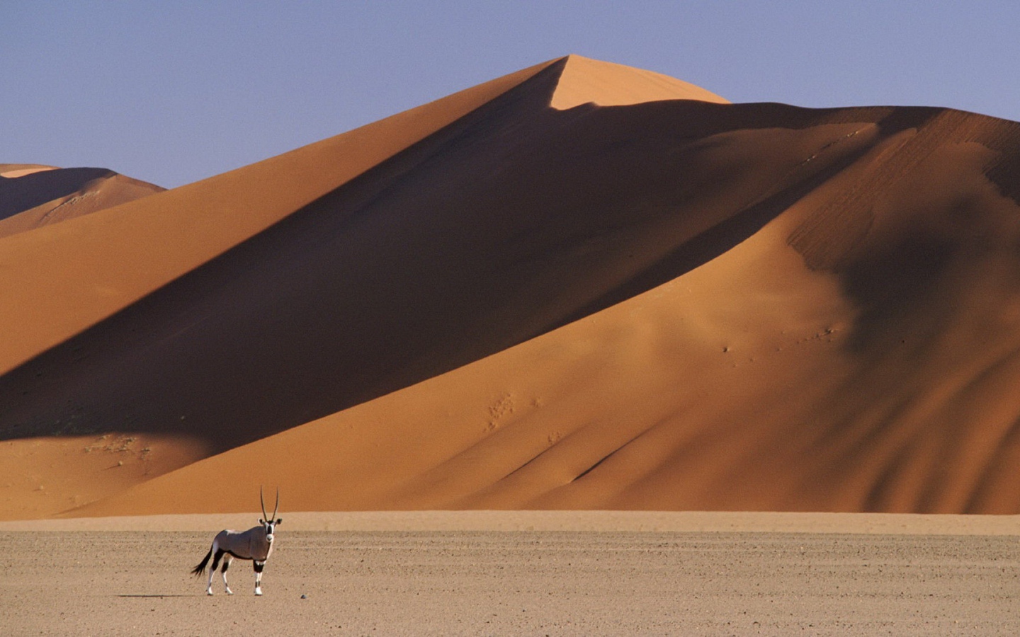 	  Desert Of Namibia