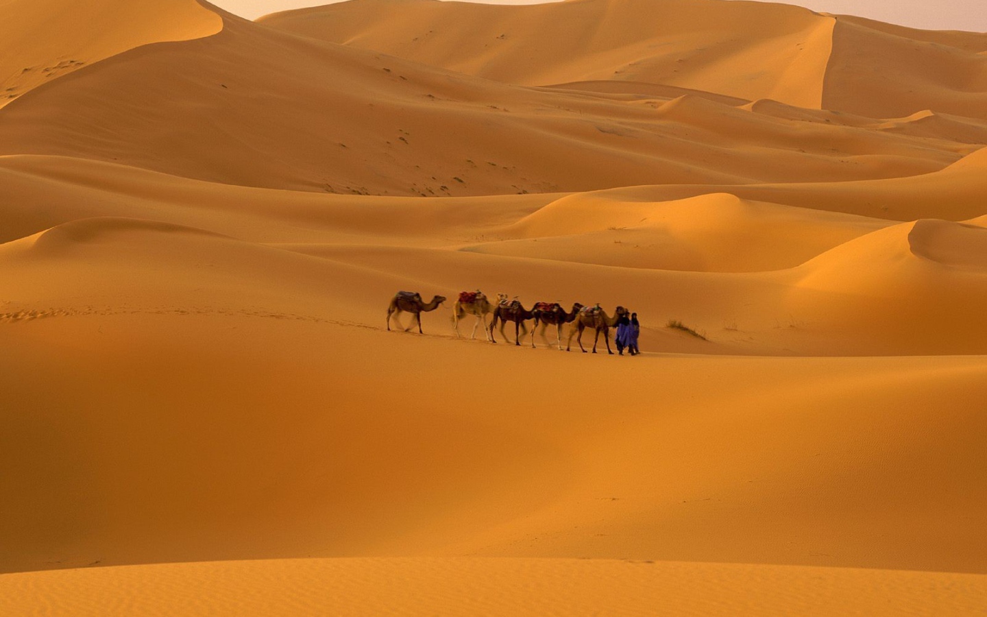 Морокко пустыня сахара