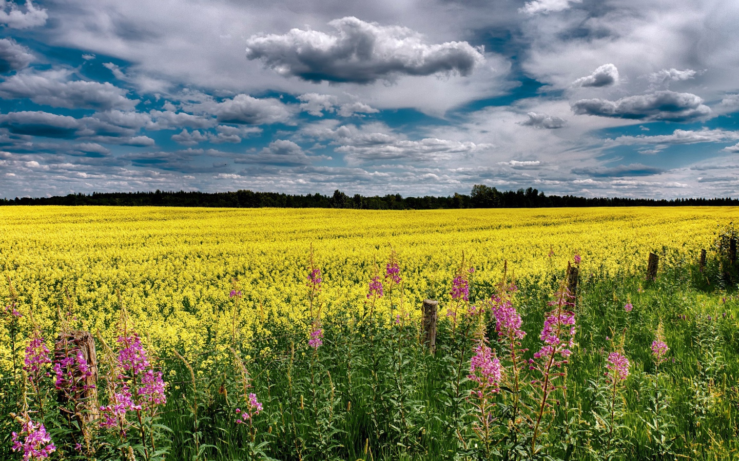 Облака над полем