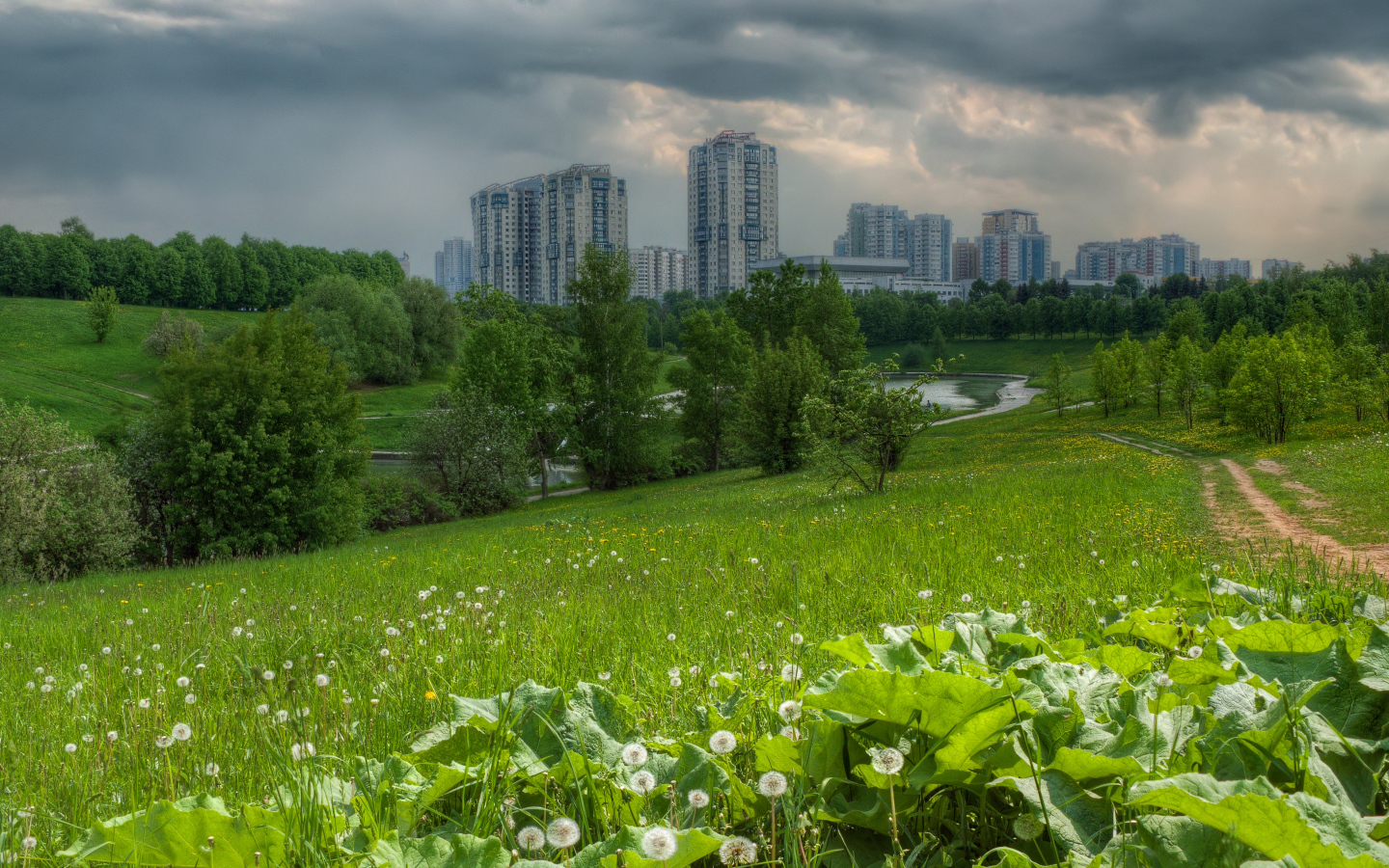 Поле на окраине города