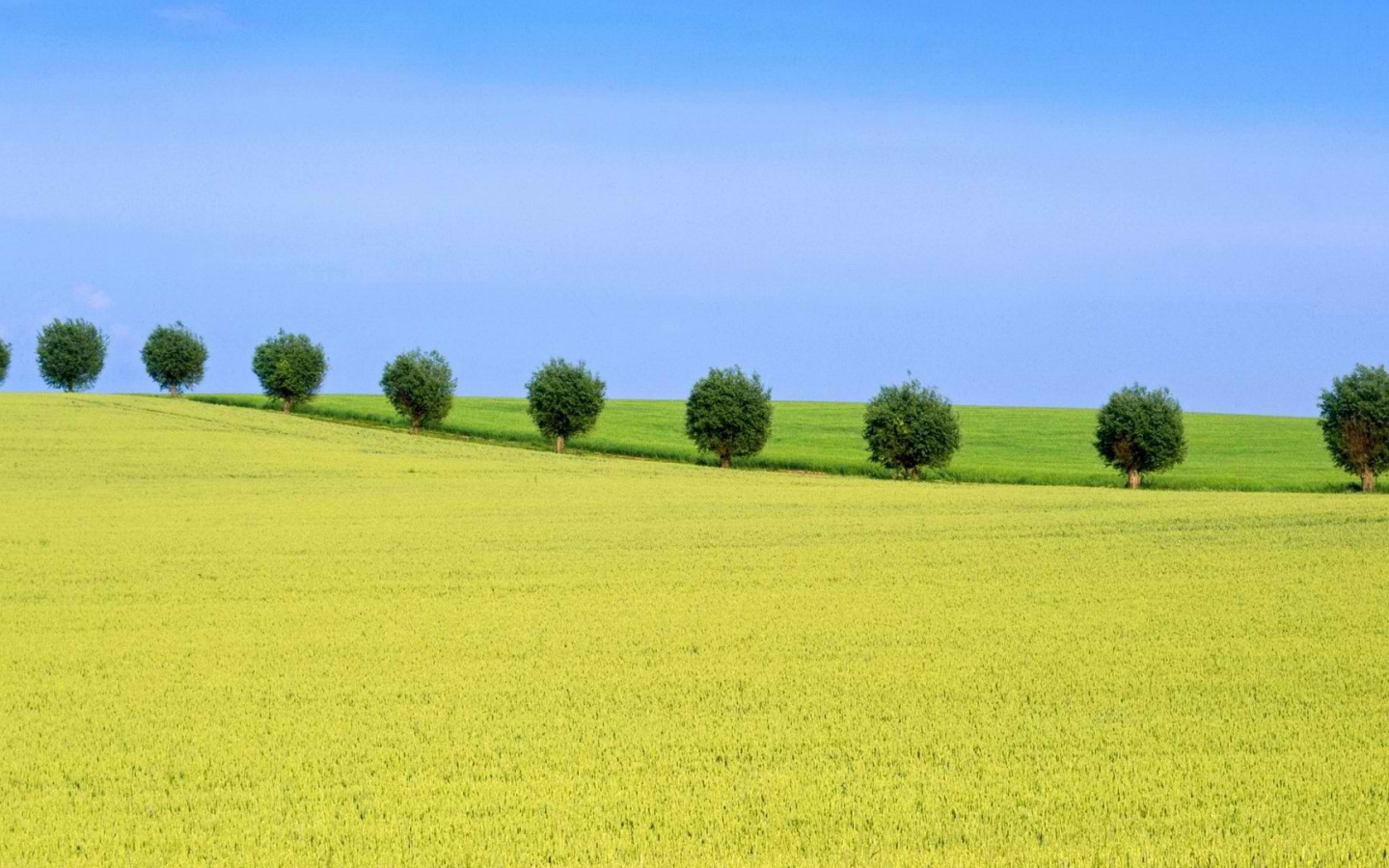 Природа Швеции