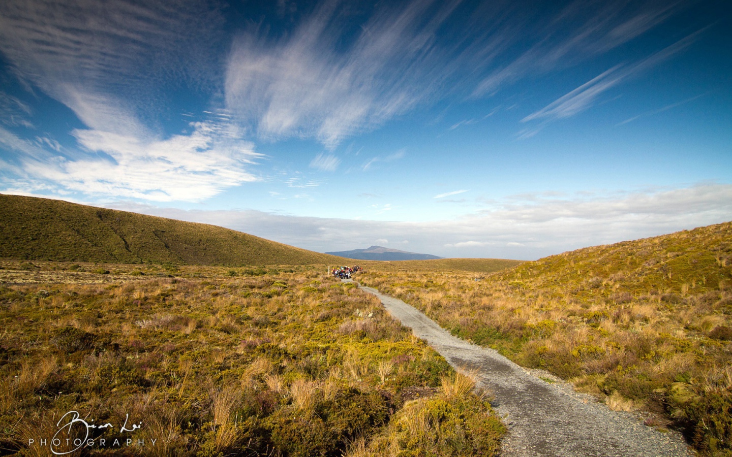 Пейзаж в Новой Зеландии