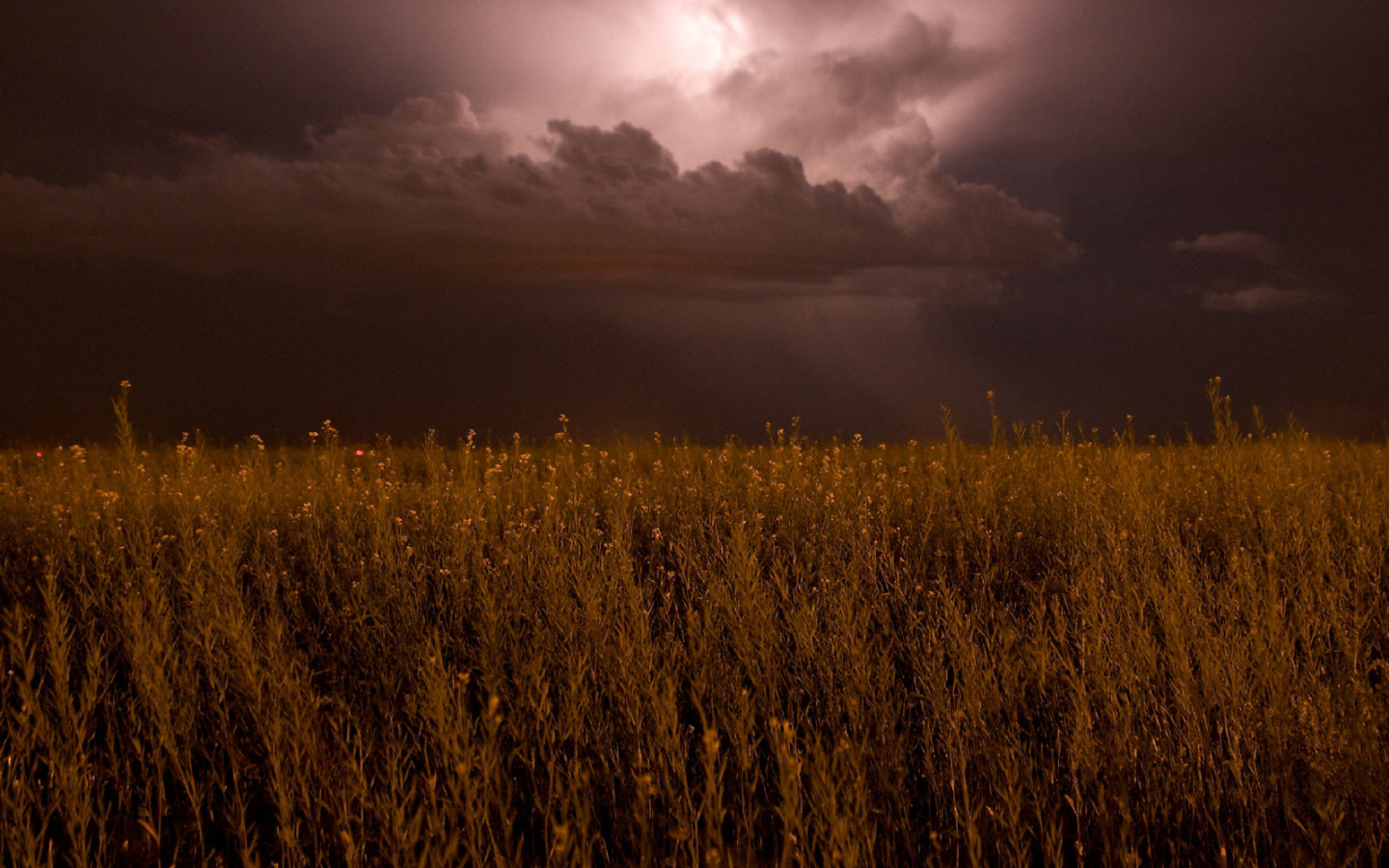 На поле надвигается гроза