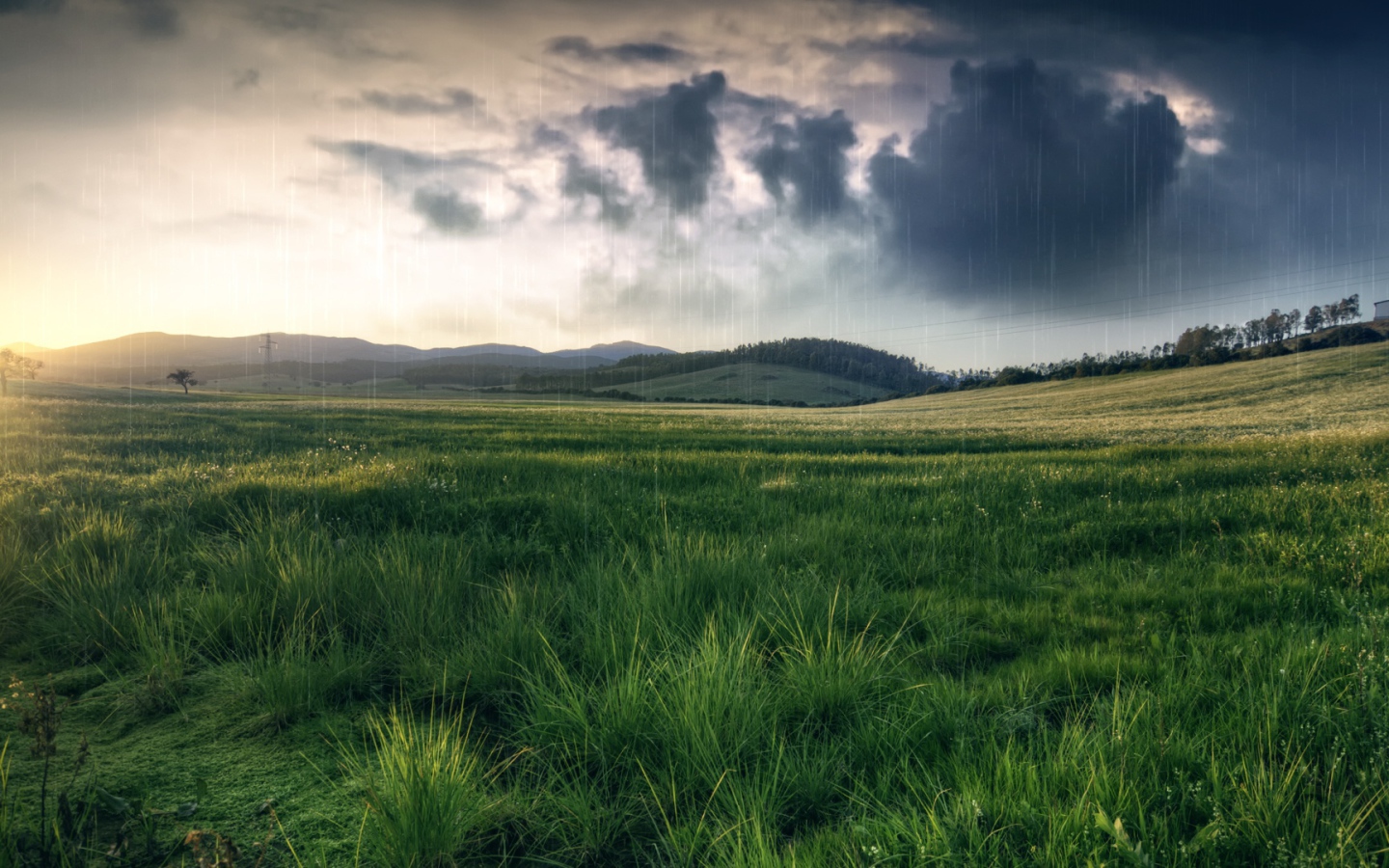 Весенний пейзаж