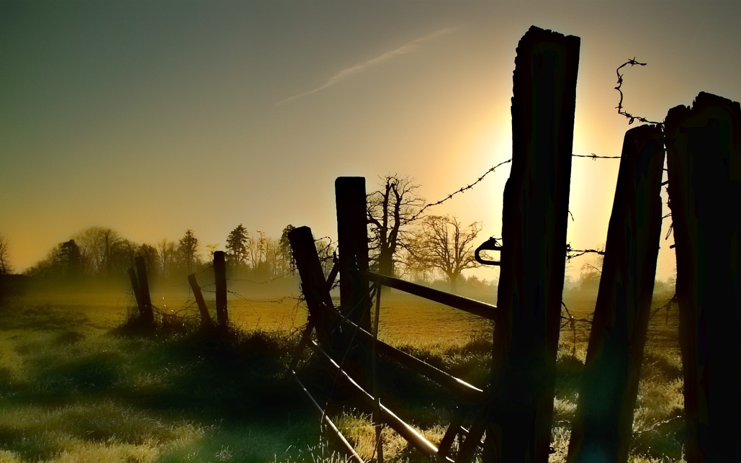 Старая ограда из колючей проволоки