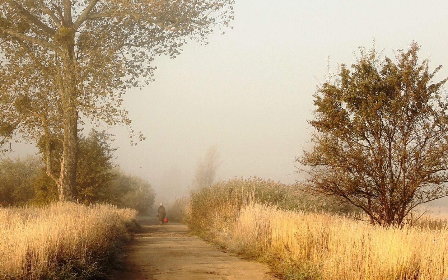 Одинокий человек на дороге