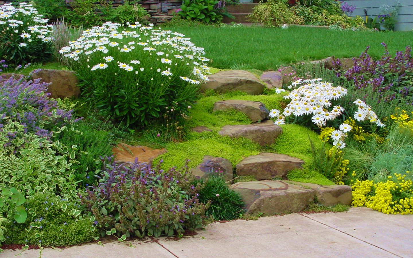 На дачном участке альпийская горка