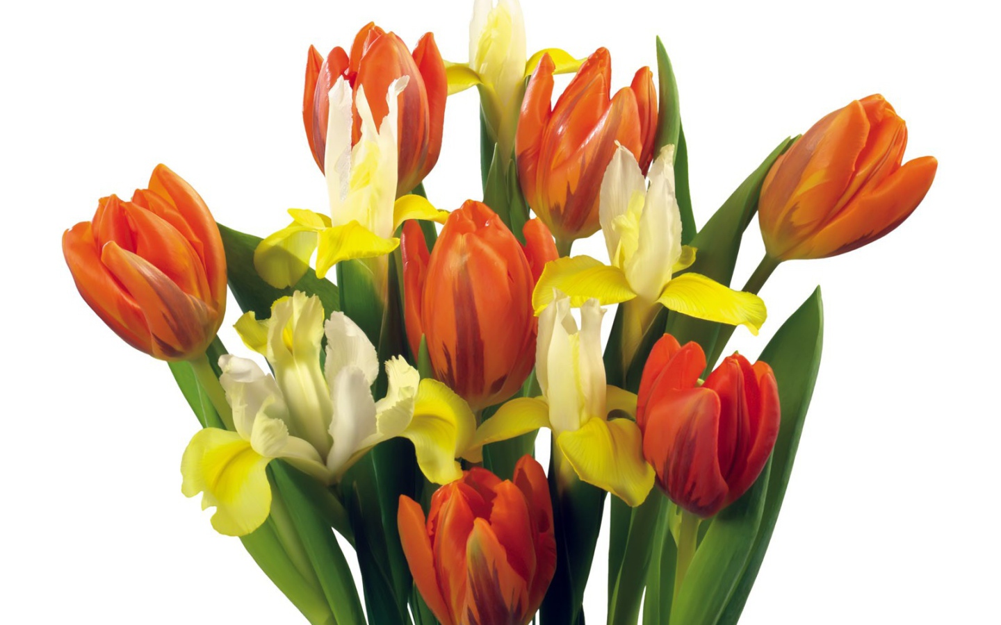 Букет тюльпанов и других цветов