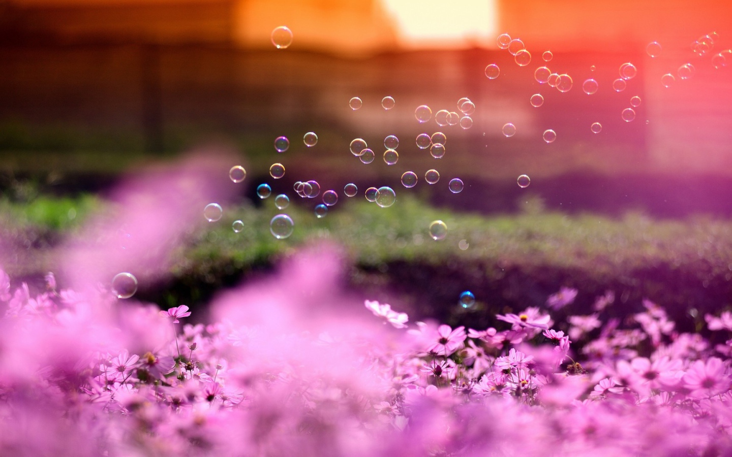Мыльные пузыри