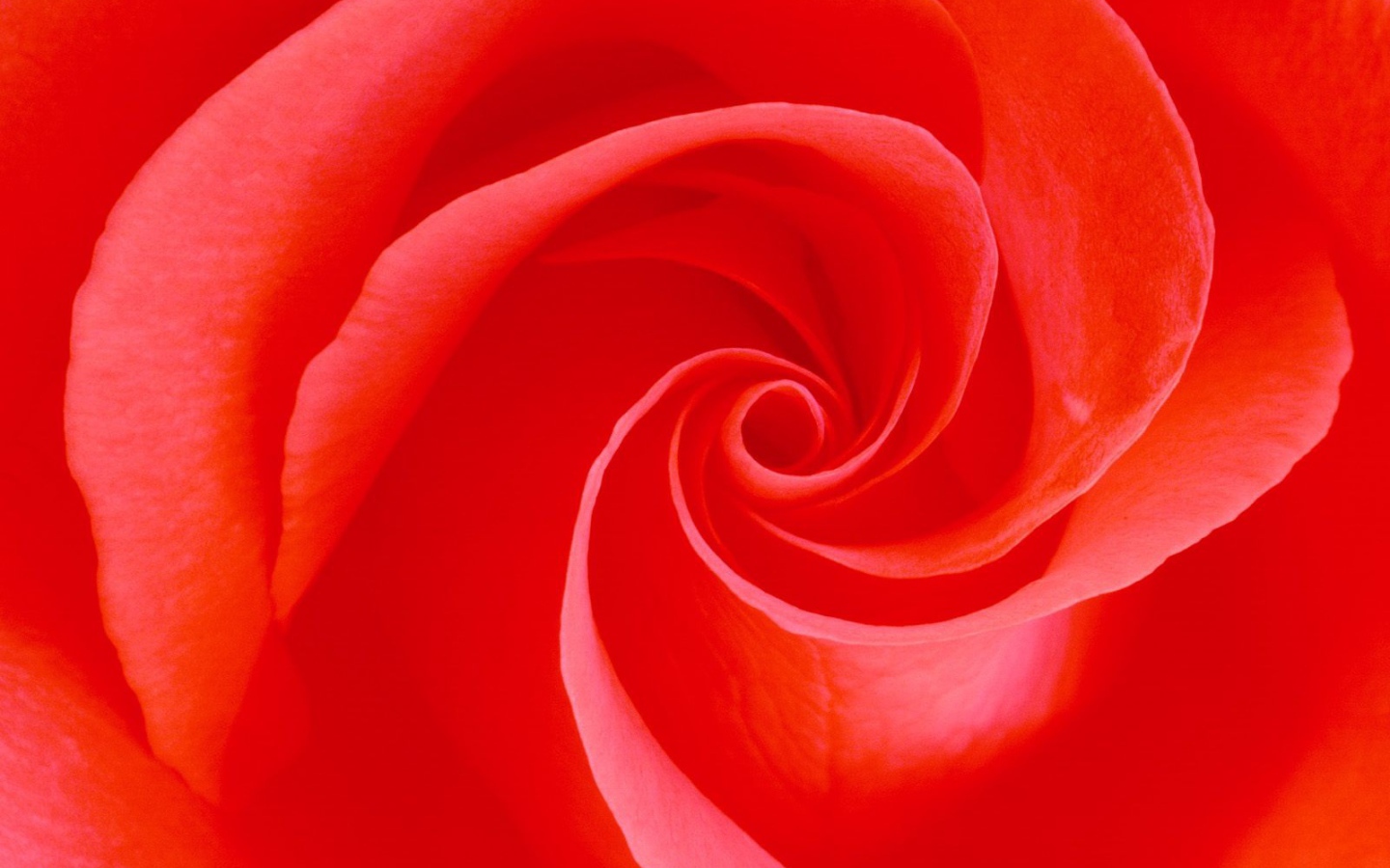 Вечное цветение