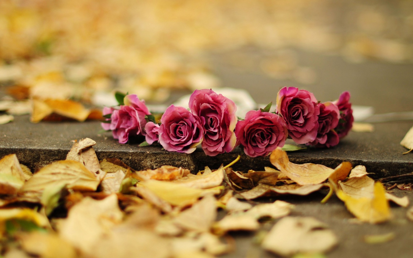 Возложеные цветы