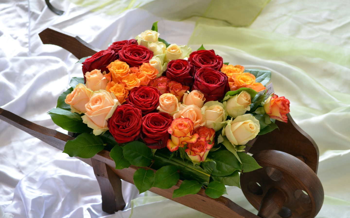 Разноцветные розы на тачке