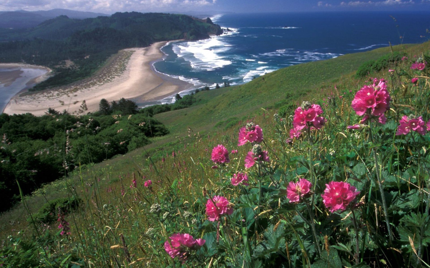 Вид на море с горы