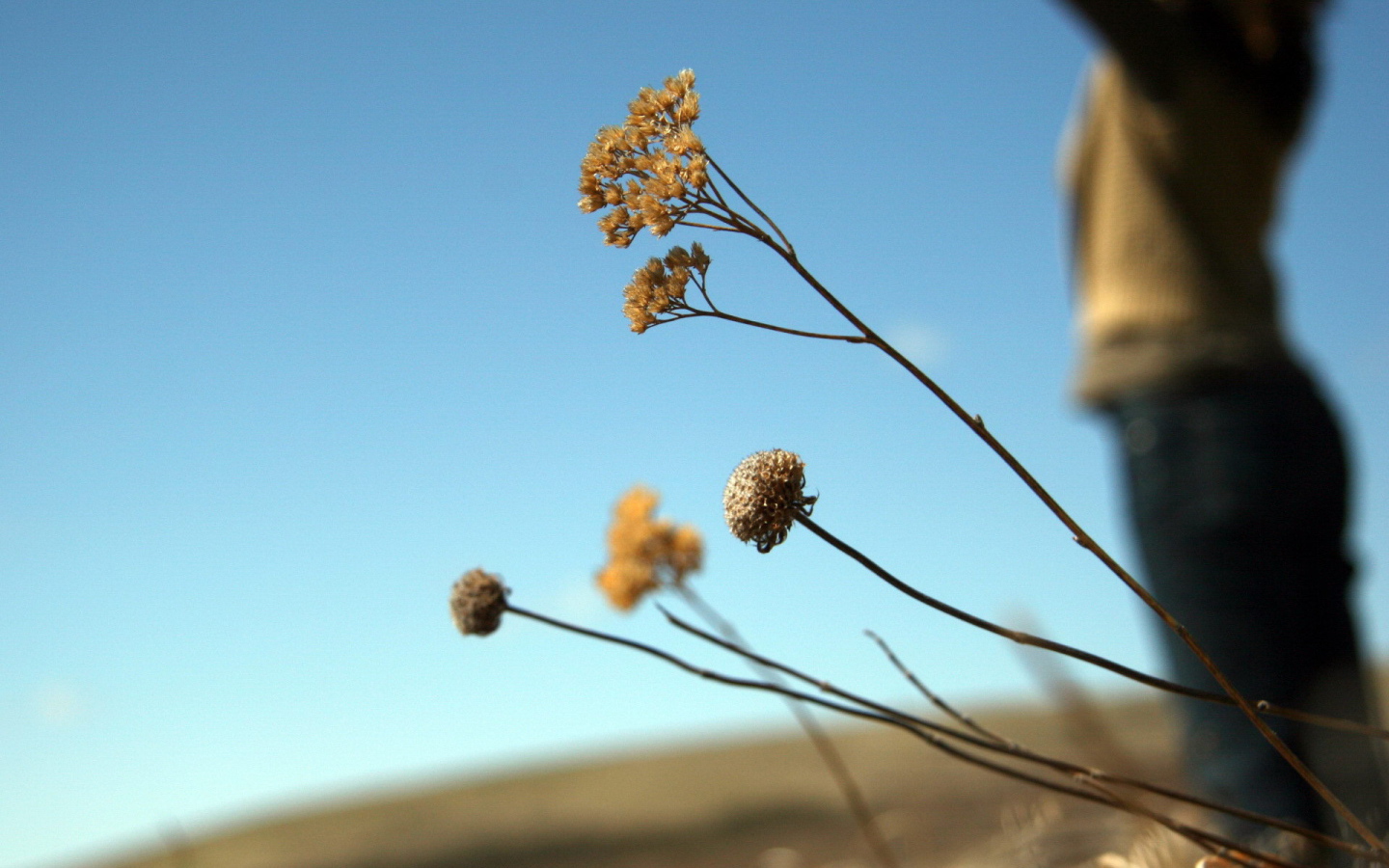 Силуэт девушки