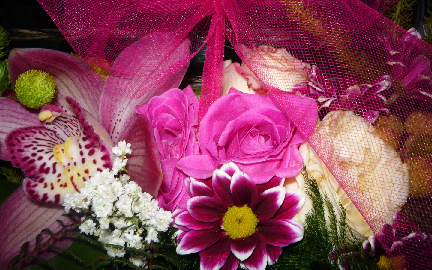 Цветы хризантема