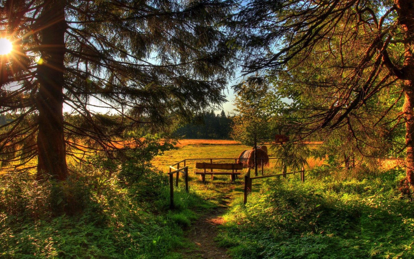 Летняя полянка