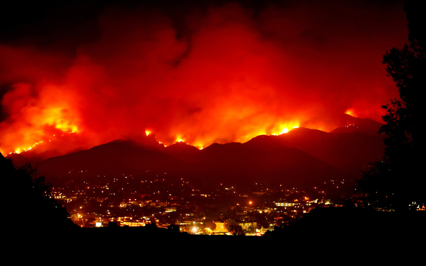 Лесной пожар