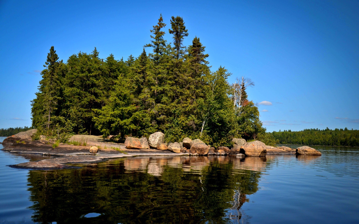 Поросший лесом остров