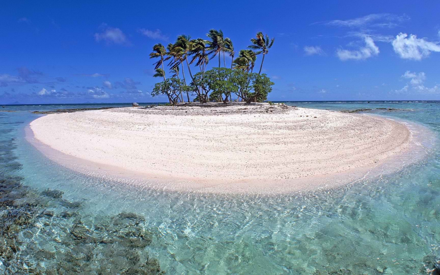 Маленький остров с деревьями