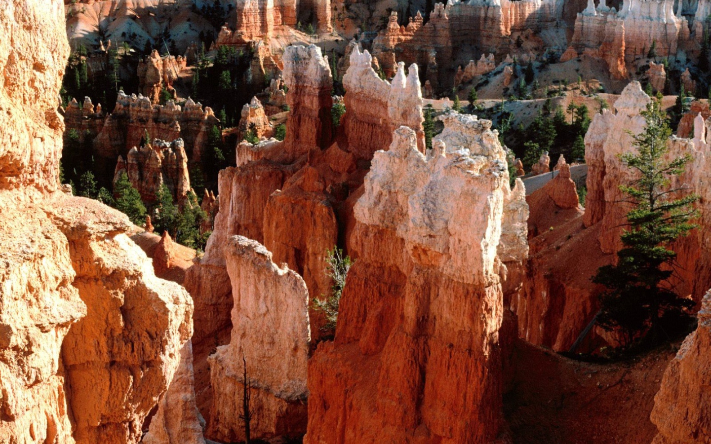 Каньон Брюс