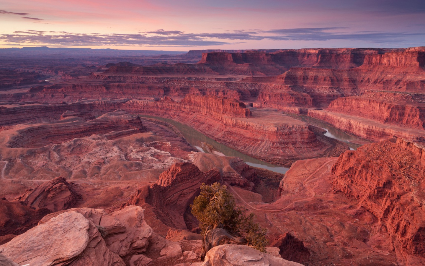 Розовый каньон