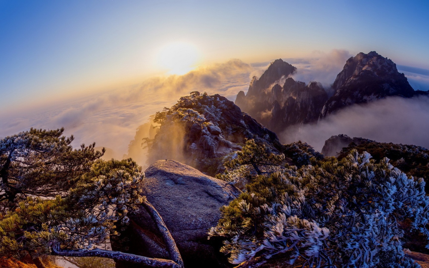 Вид с горной вешины