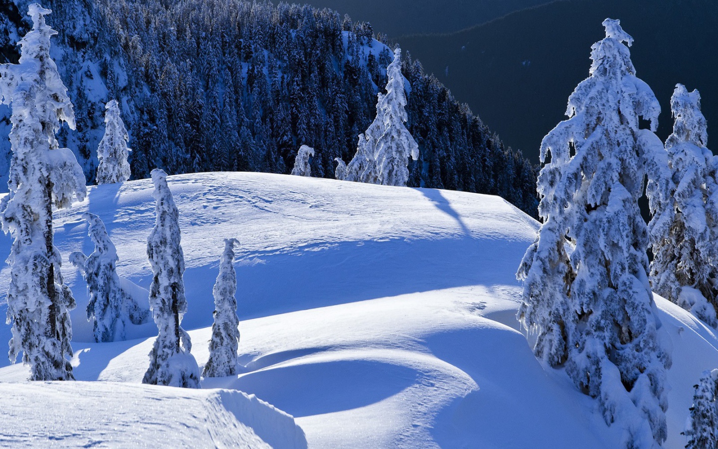 Горный пейзаж Колумбии