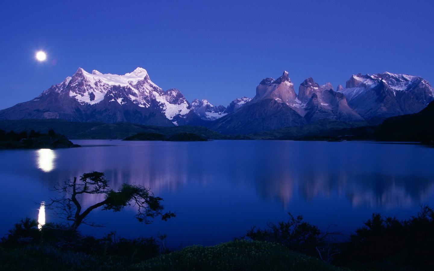 Национальный парк в Чили