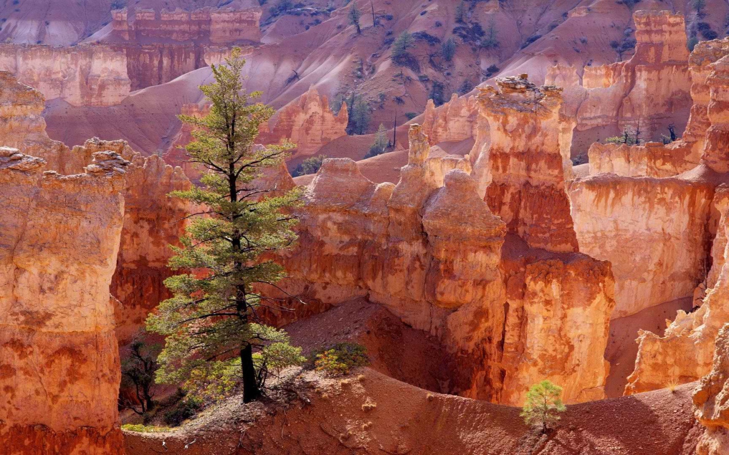 Каньон утах в америке