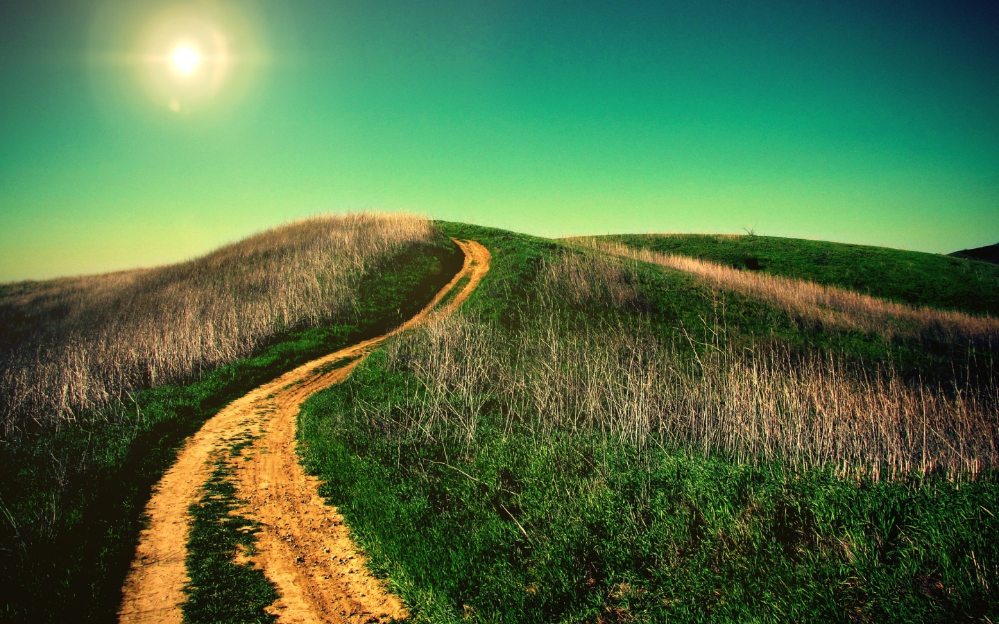 Дорога на холм