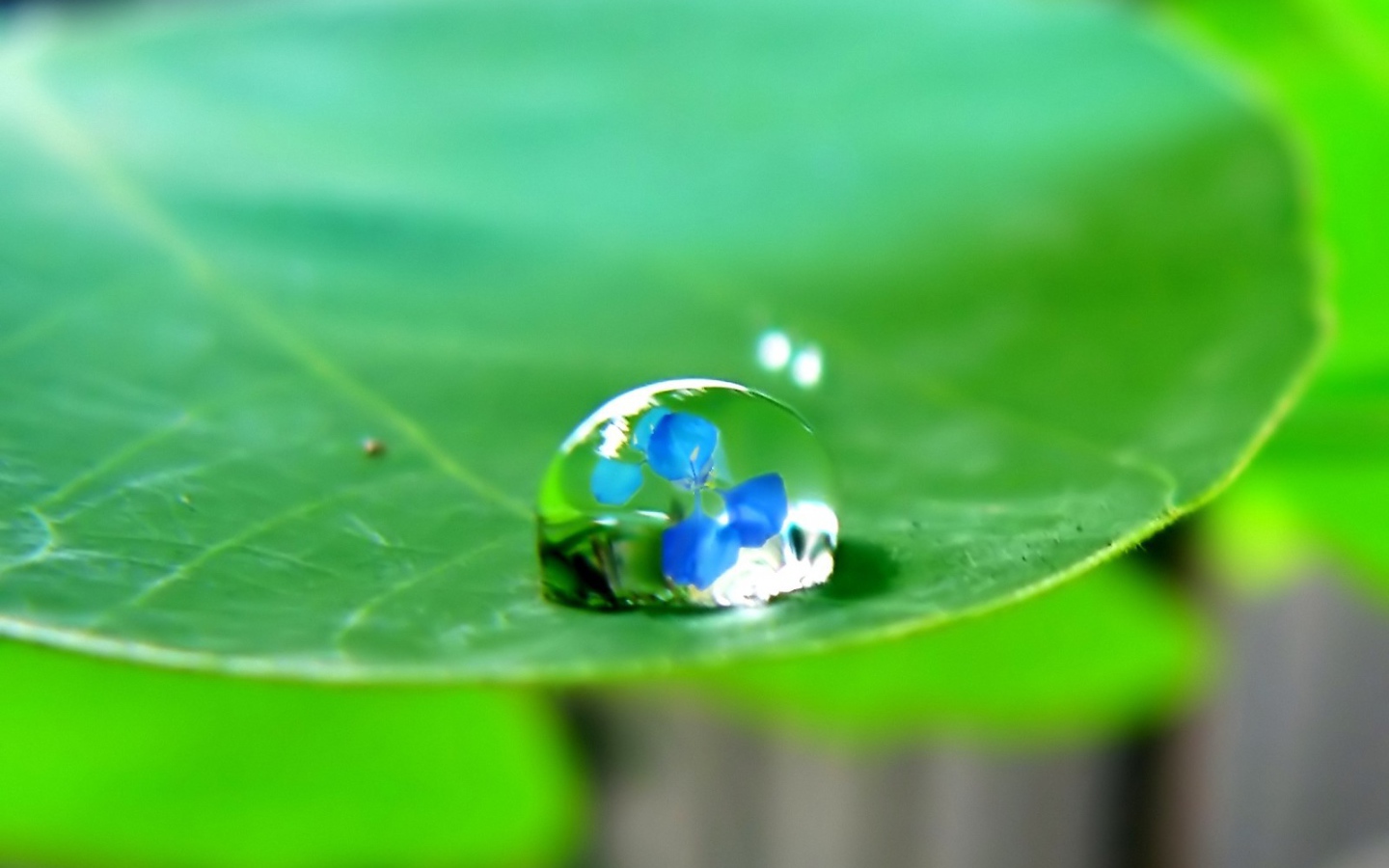 Отражение в капле воды