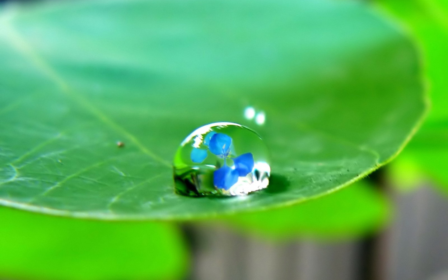 Отражение в капле