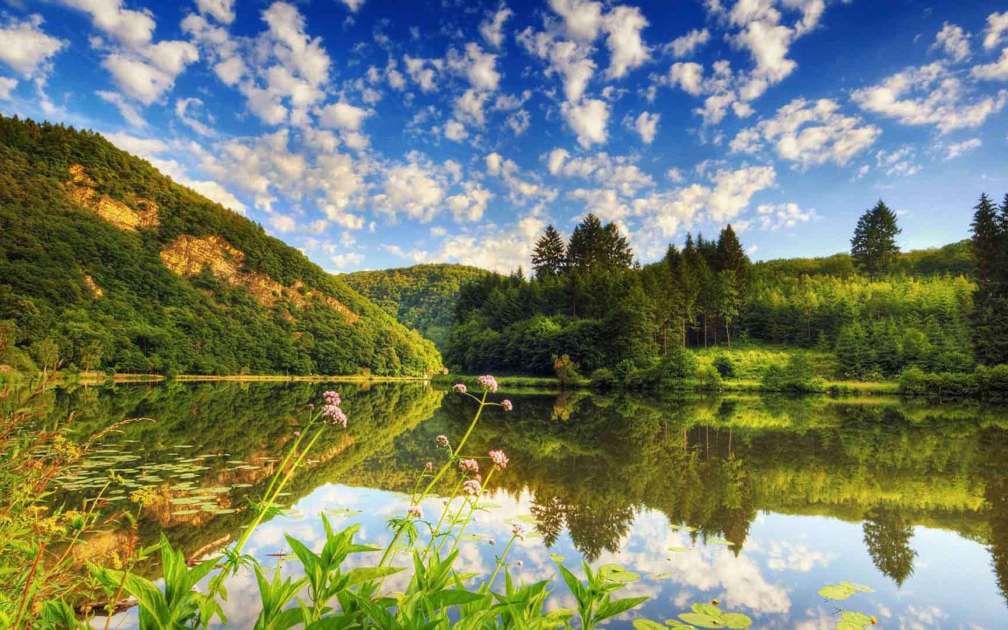 Озеро среди лесистых холмов