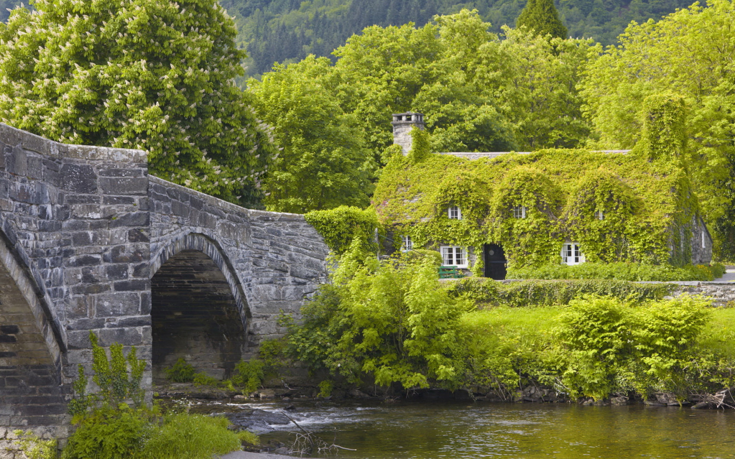 Каменный мост и дом