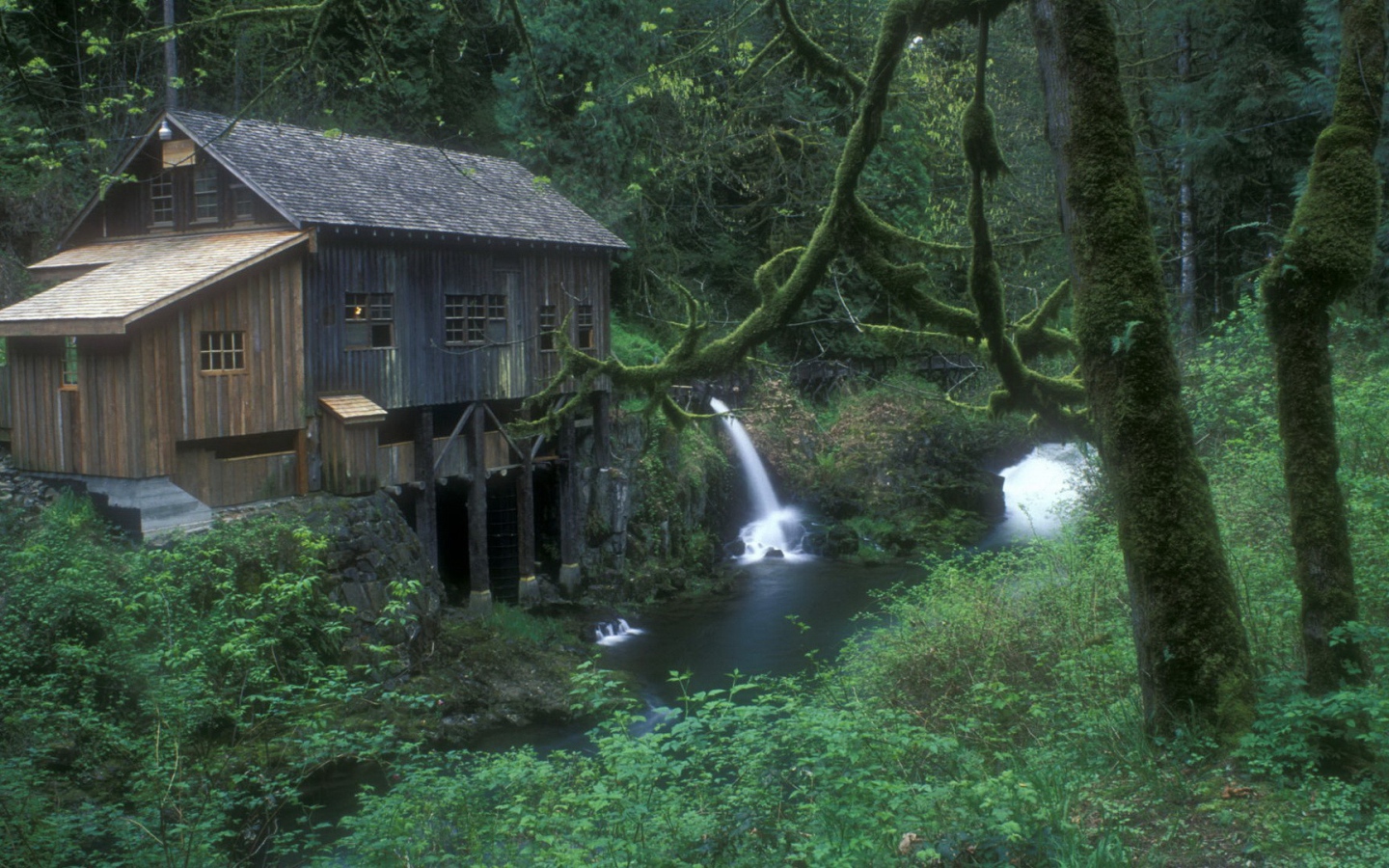 Плотина на реке в лесу