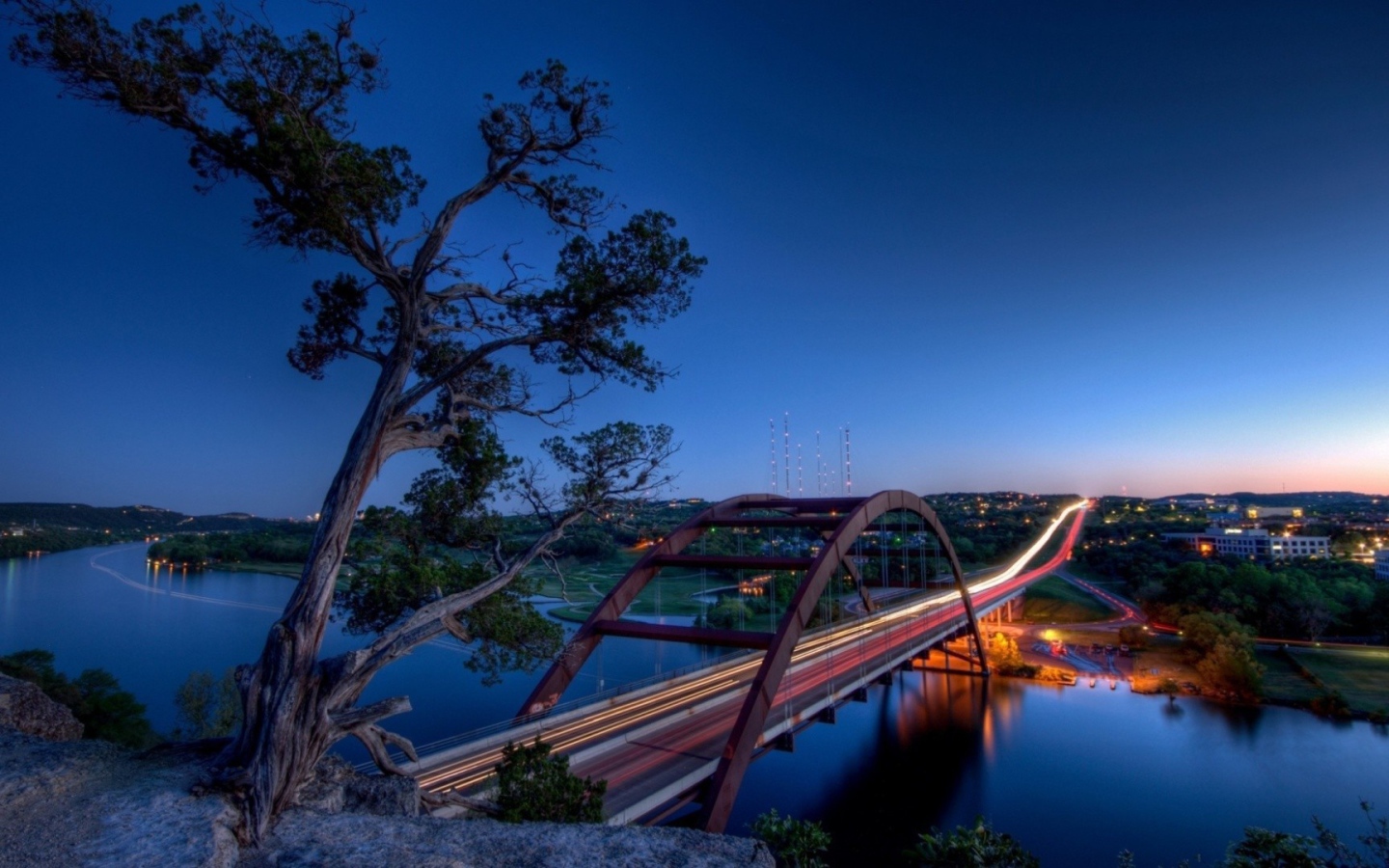 Дерево на скале и мост