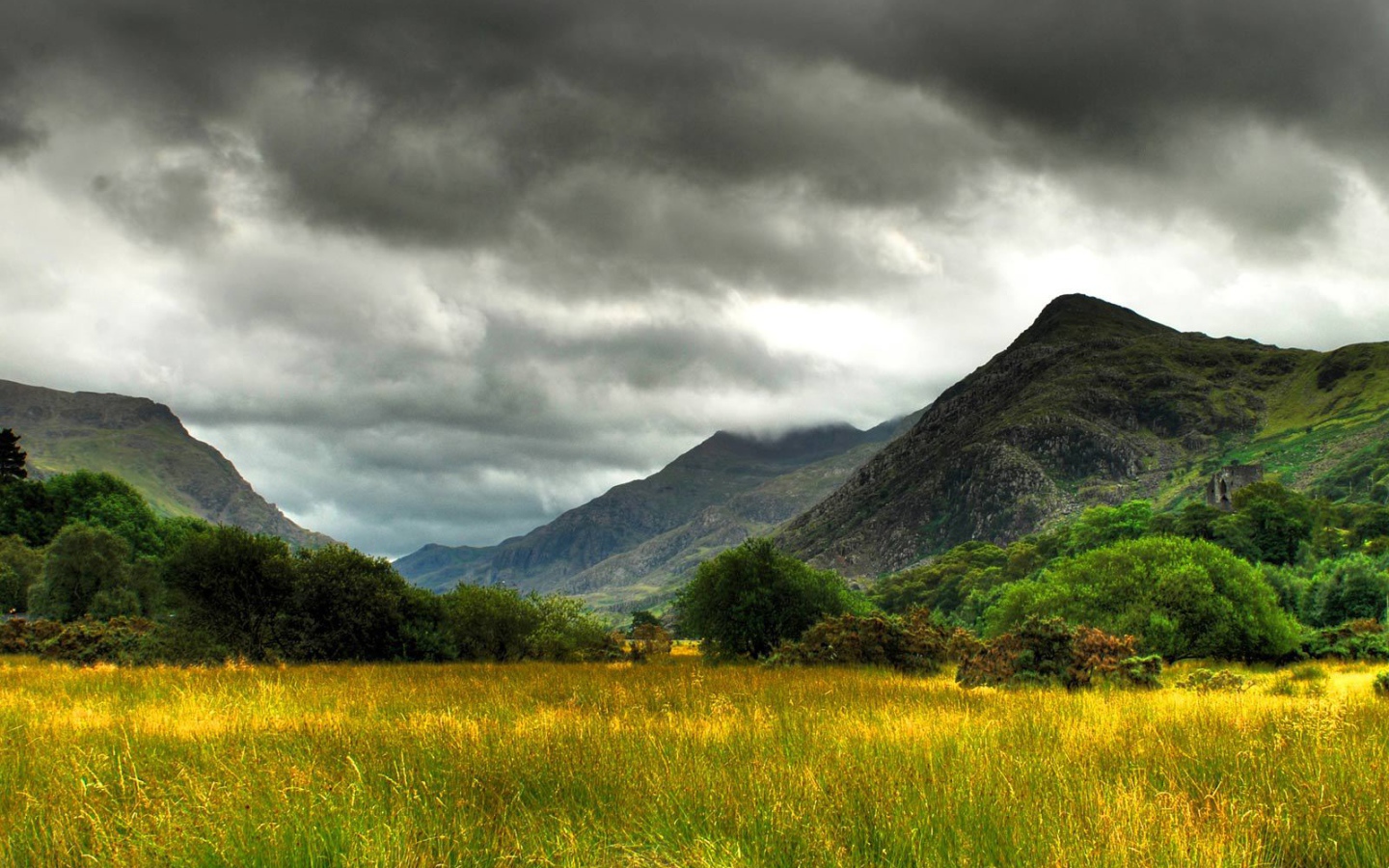 Болото заросшее травой