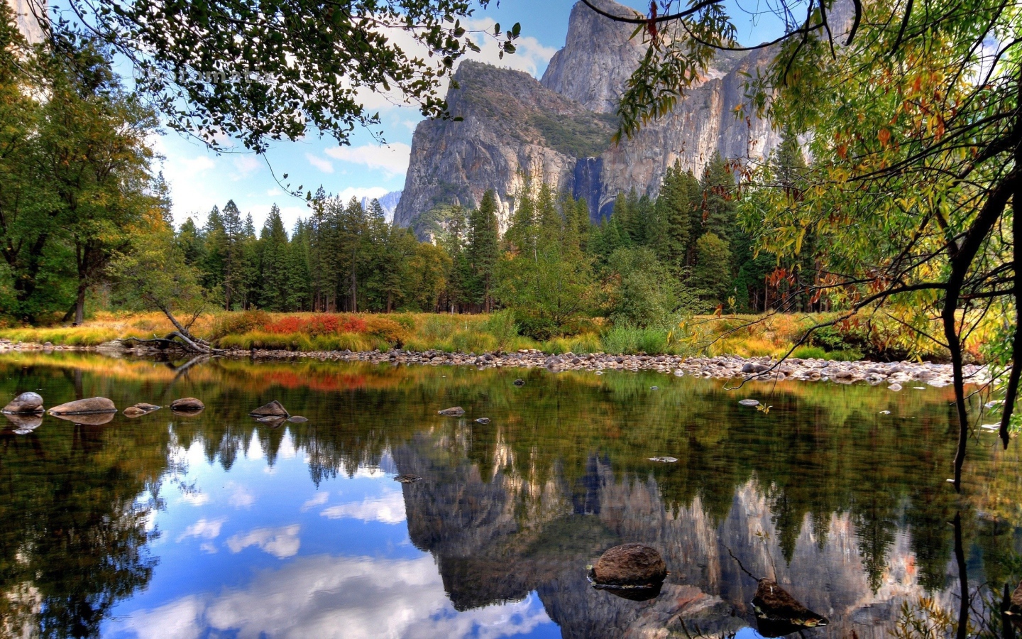 Лес и озеро у скал