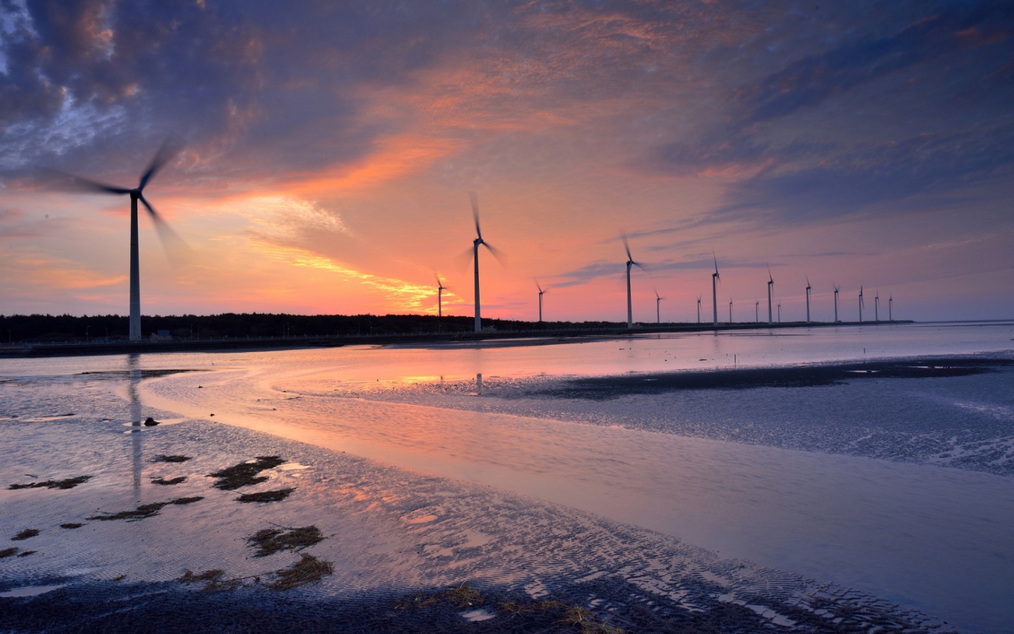 Ветряки на побережье