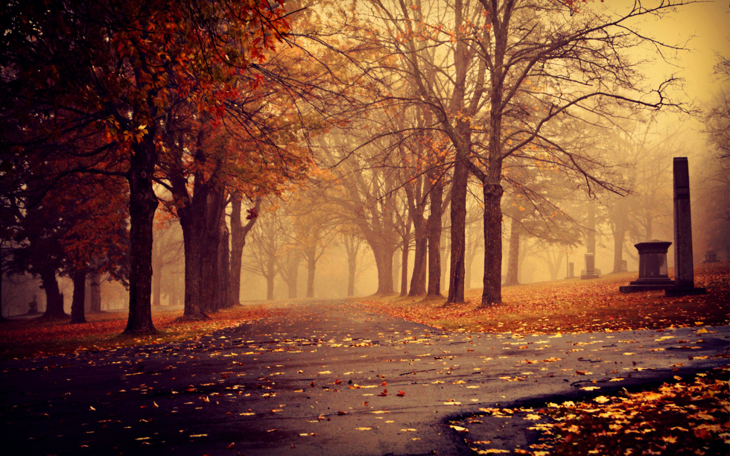 Fog in the autumn Park