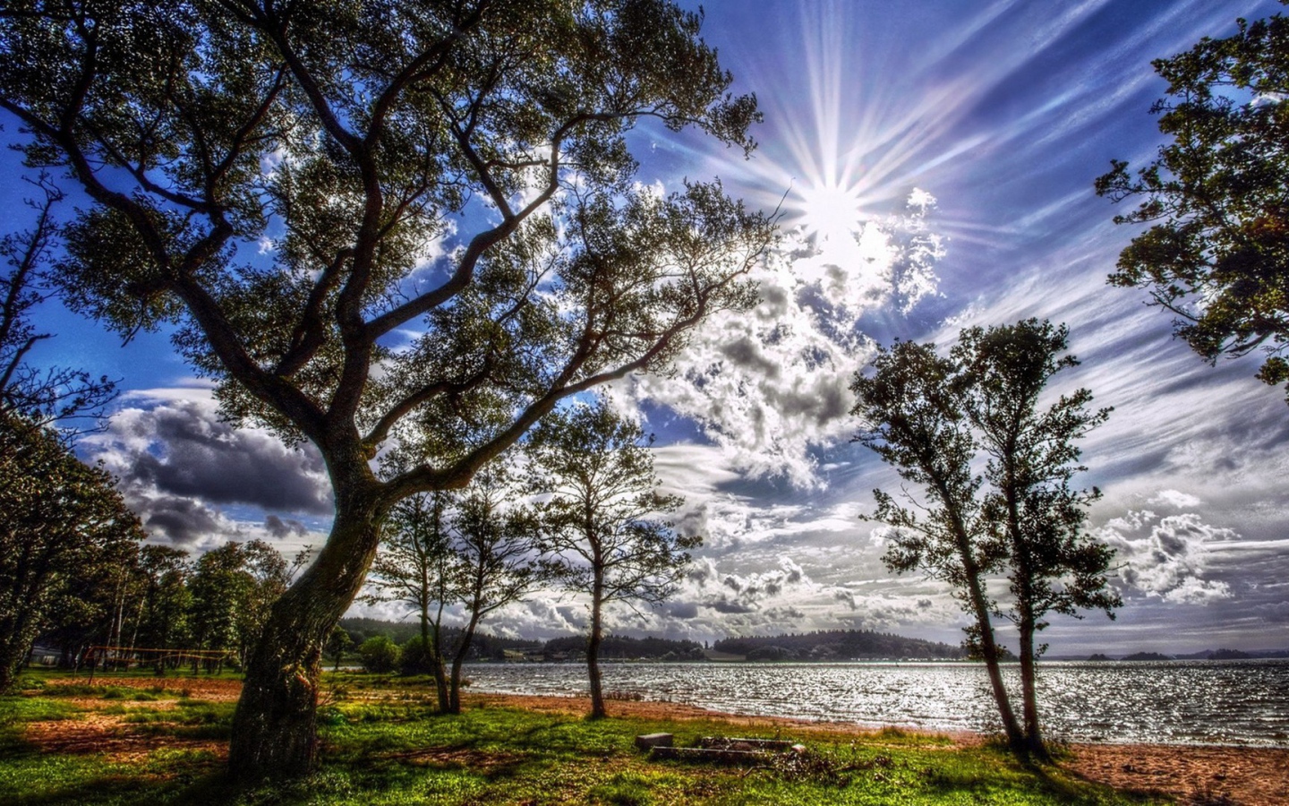 Летний солнечный день