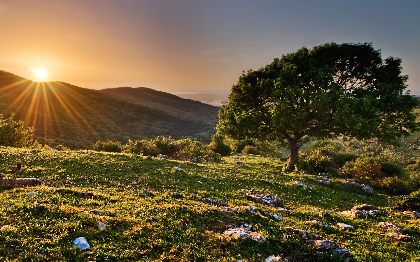 Закат в заповеднике
