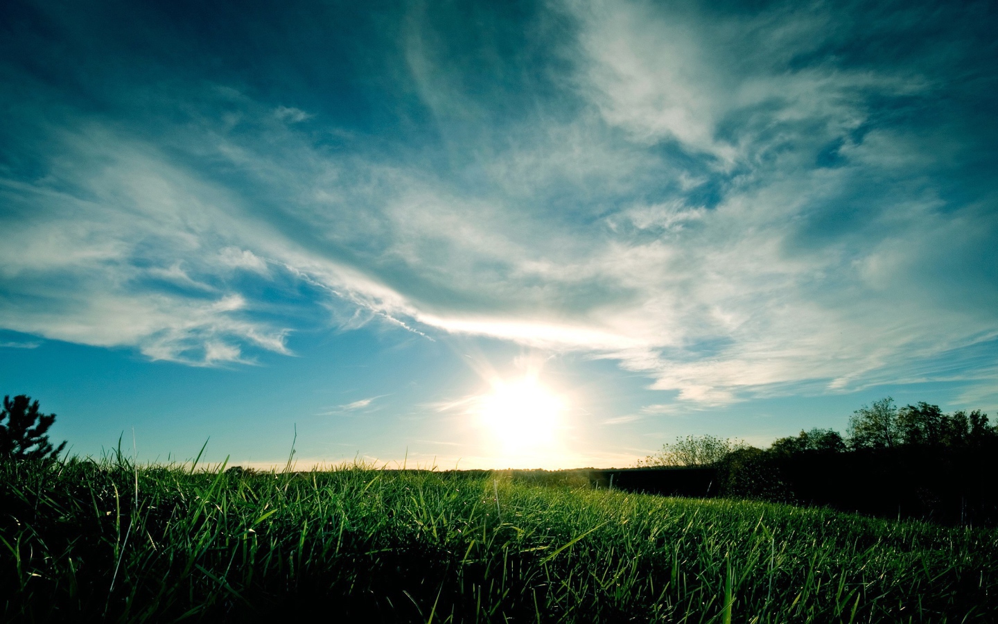 Закат над полем