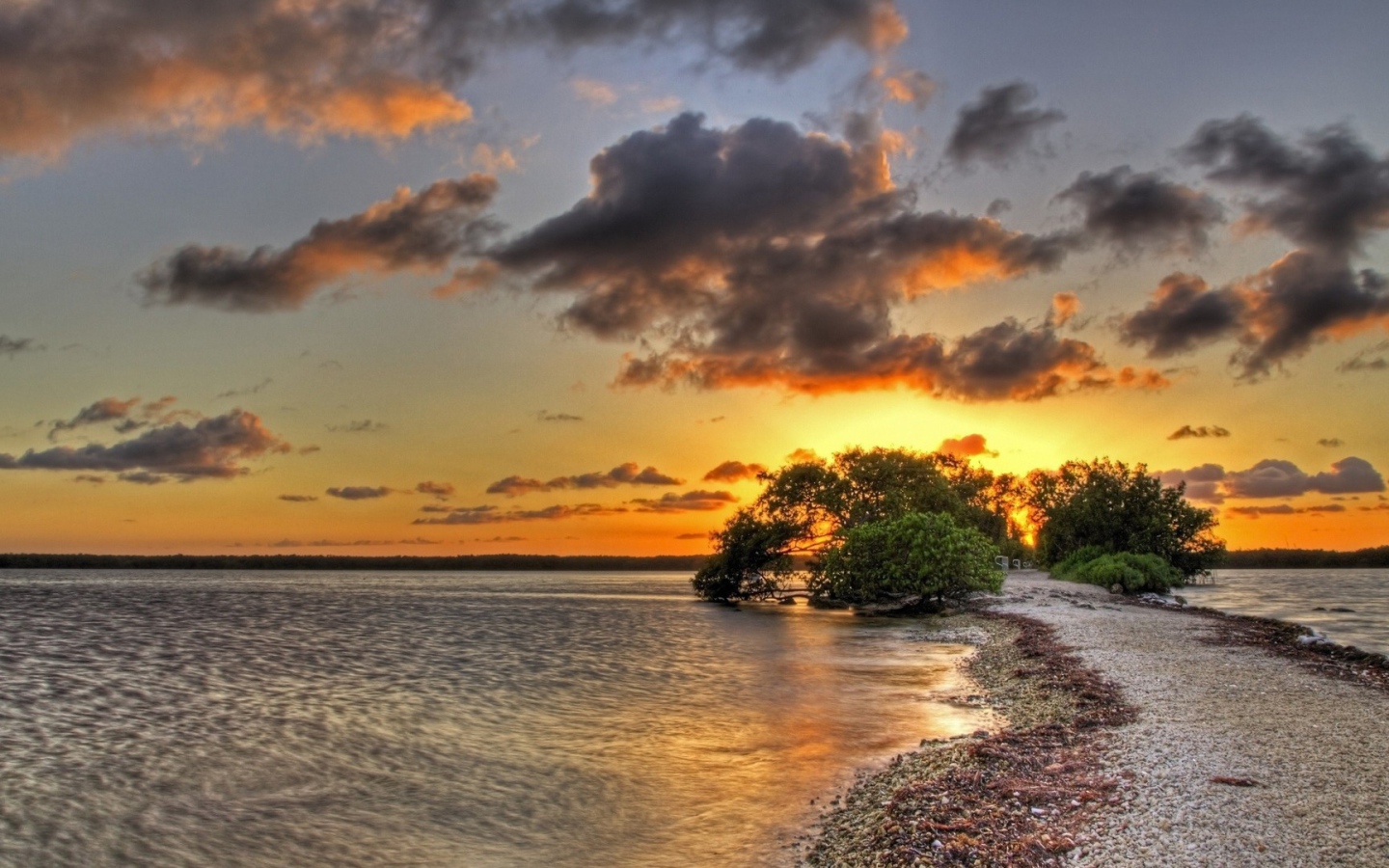 Закат над озером за деревом