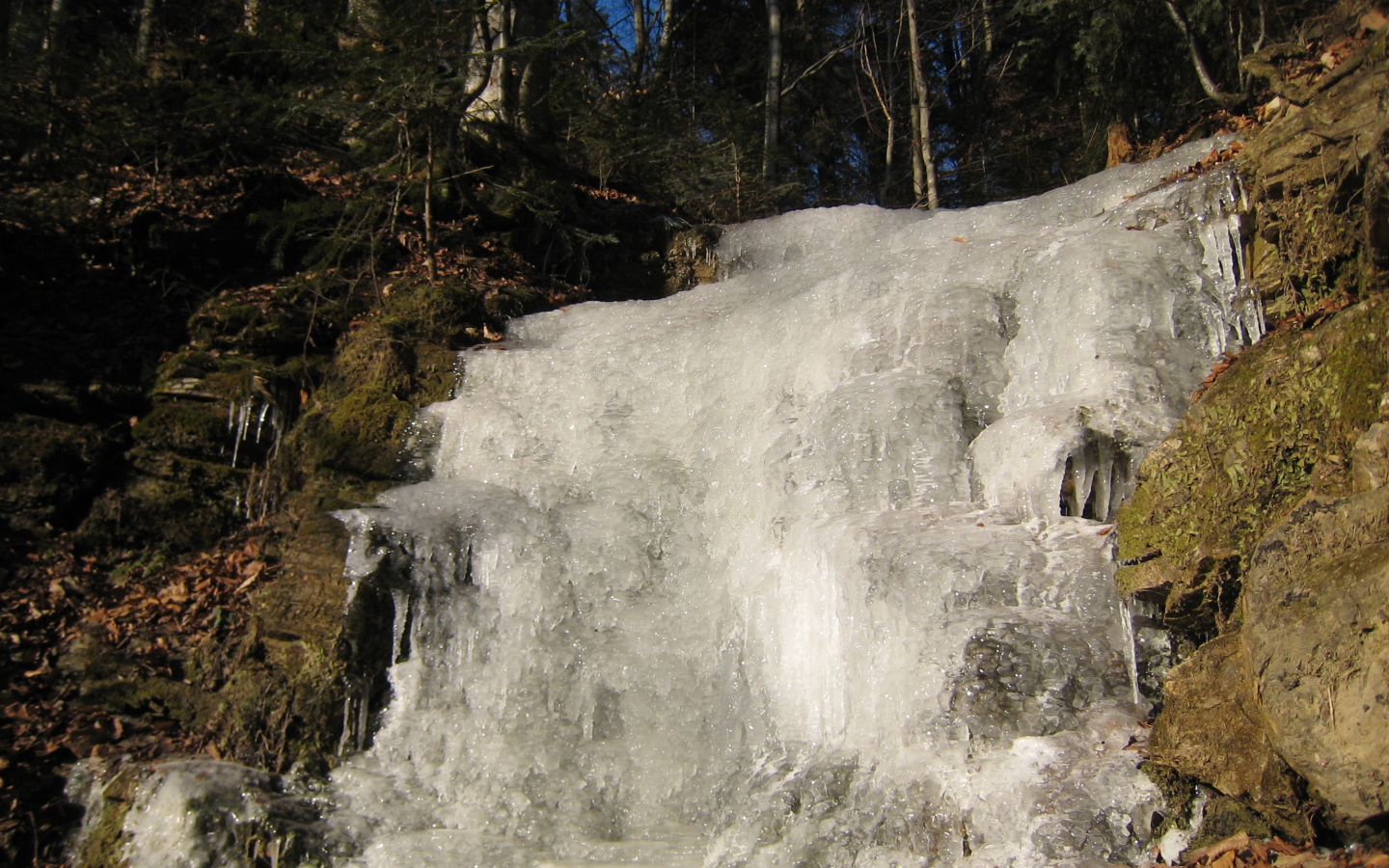 Замерзший водопад в лесу
