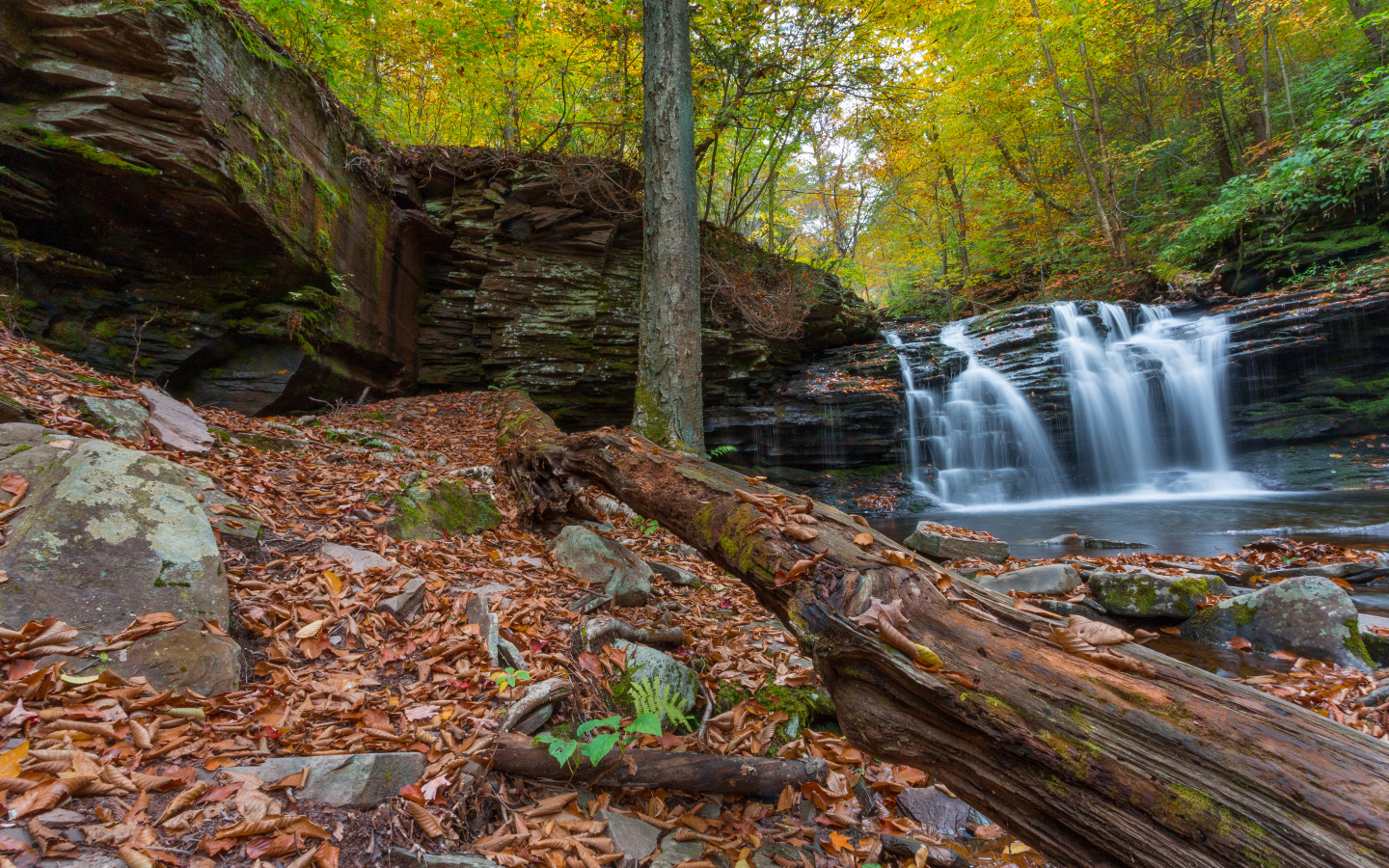 Скалы с водопадом