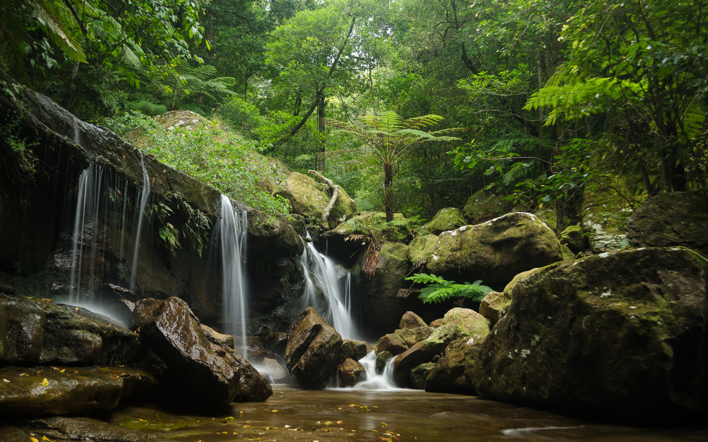 Заросли и водопад