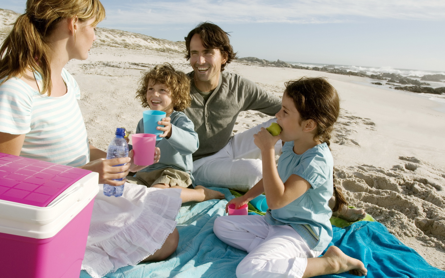 Picnic on the beach with family