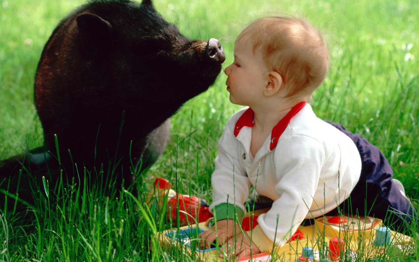 Ребенок и свинья